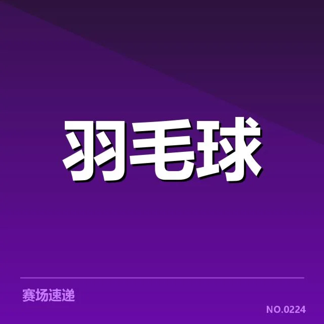 运动员的技术细节与配合表现